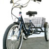 תלת אופן חשמלי GreenBike 36V עם גלגלי 20 אינץ׳