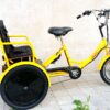 תלת אופן חשמלי משפחתי Fisher Family Premium