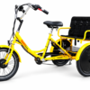 תלת אופן חשמלי משפחתי Fisher Family Premium