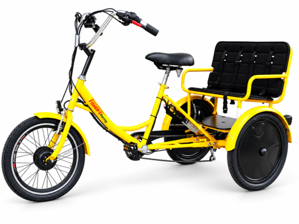 תלת אופן חשמלי משפחתי Fisher Family Premium